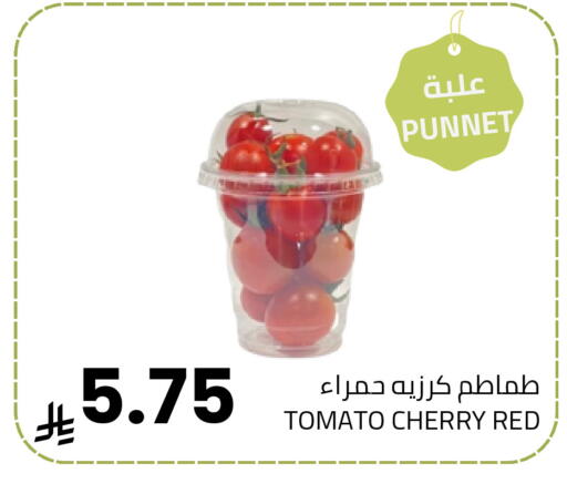 Cherry Tomato available at Astra Markets in KSA, Saudi Arabia, Saudi - Tabuk
