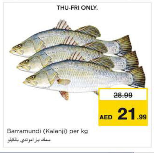 available at نستو هايبرماركت in الإمارات العربية المتحدة , الامارات - دبي