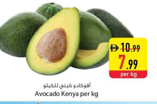 Avocado from Kenya available at السفير ماركت in الإمارات العربية المتحدة , الامارات - دبي
