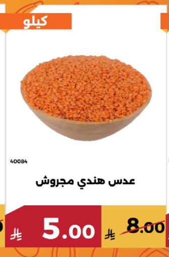 available at Forat Garden in KSA, Saudi Arabia, Saudi - Mecca