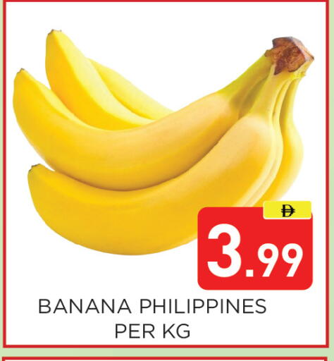 Banana from Philippines available at عين المدينة هايبرماركت in الإمارات العربية المتحدة , الامارات - الشارقة / عجمان