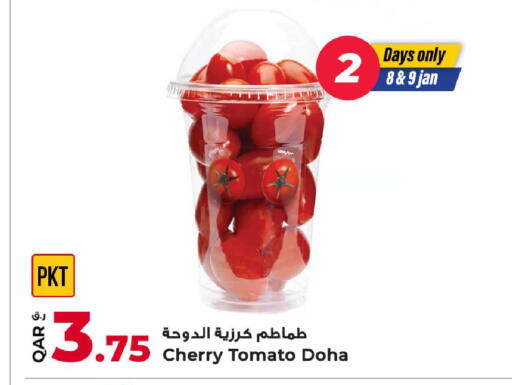 Cherry Cherry tomato from Qatar available at Rawabi Hypermarket in Qatar - Al Wakra