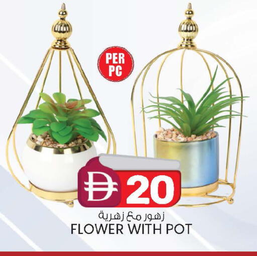 available at صفا اكسبريس سوبرماركت in الإمارات العربية المتحدة , الامارات - ٱلْعَيْن‎