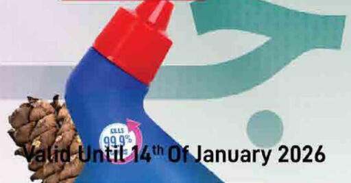 available at ســبــار in قطر - الخور