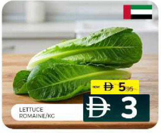 Lettuce available at Al Madina  in UAE - Sharjah / Ajman