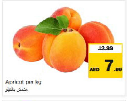 Apricot available at نستو هايبرماركت in الإمارات العربية المتحدة , الامارات - الشارقة / عجمان