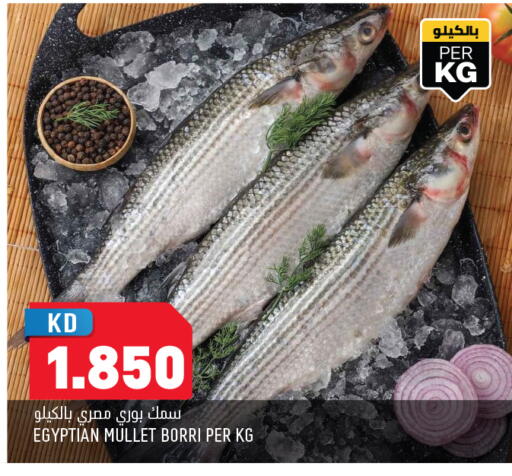 available at أونكوست in الكويت - محافظة الأحمدي