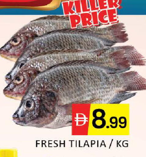 Mango available at مانجو هايبرماركت in الإمارات العربية المتحدة , الامارات - دبي