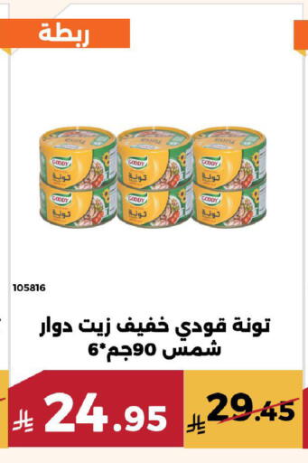 available at Forat Garden in KSA, Saudi Arabia, Saudi - Mecca