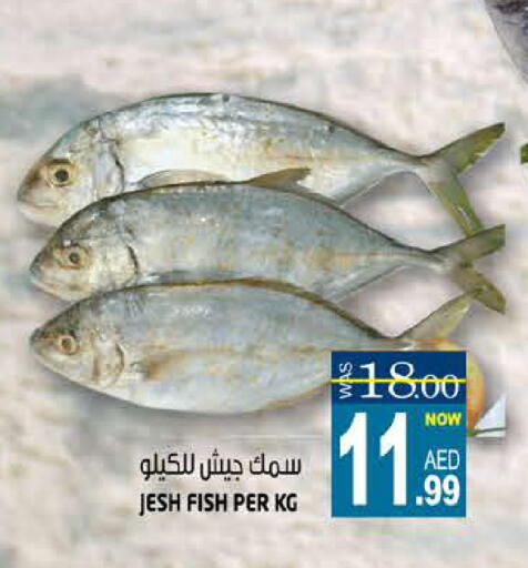 available at Hashim Hypermarket in UAE - Sharjah / Ajman