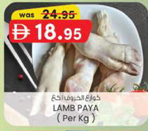 available at ك. الم. للتجارة in الإمارات العربية المتحدة , الامارات - دبي