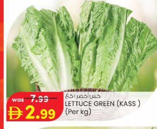 Lettuce available at Safa Express Supermarket in UAE - Abu Dhabi