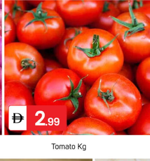 Tomato available at سوق طلال in الإمارات العربية المتحدة , الامارات - دبي