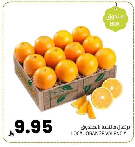 Orange available at Astra Markets in KSA, Saudi Arabia, Saudi - Tabuk