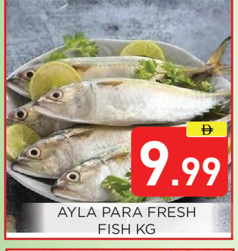 available at Ain Al Madina Hypermarket in UAE - Sharjah / Ajman