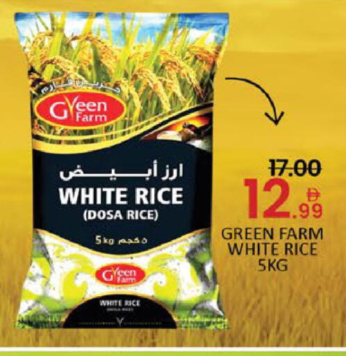 Mango available at مانجو هايبرماركت in الإمارات العربية المتحدة , الامارات - دبي