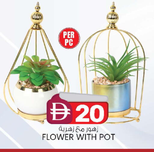 available at ك. إم. هايبرماركت in الإمارات العربية المتحدة , الامارات - ٱلْعَيْن‎