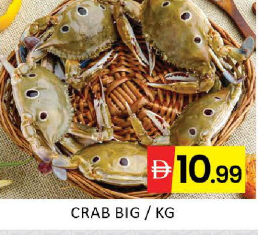 Mango available at مانجو هايبرماركت in الإمارات العربية المتحدة , الامارات - دبي