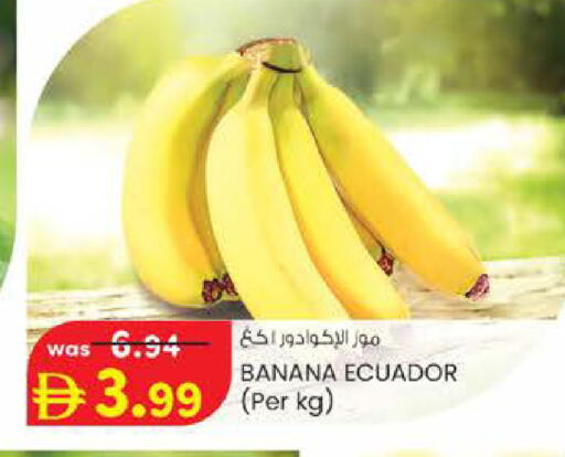 Banana from Ecuador available at ك. الم. للتجارة in الإمارات العربية المتحدة , الامارات - أبو ظبي