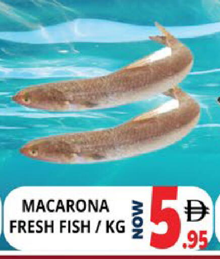 available at EXPRESS AL MADEENA HYPERMARKET LLC in UAE - Abu Dhabi