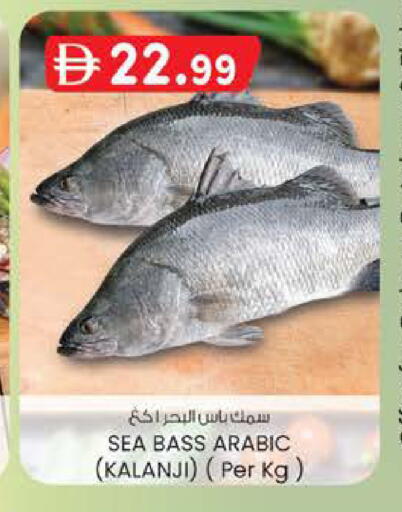 available at الصفا in الإمارات العربية المتحدة , الامارات - أبو ظبي