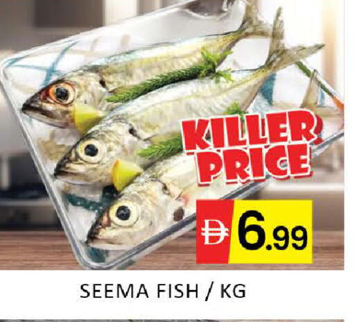 Mango available at مانجو هايبرماركت in الإمارات العربية المتحدة , الامارات - دبي