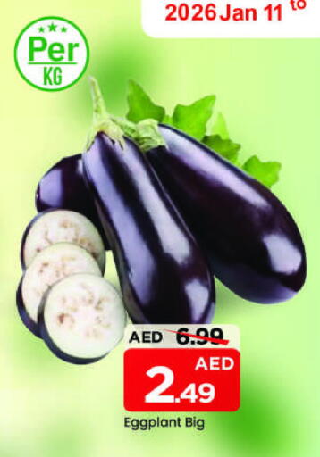 Eggplant available at مارك & سيف in الإمارات العربية المتحدة , الامارات - الشارقة / عجمان