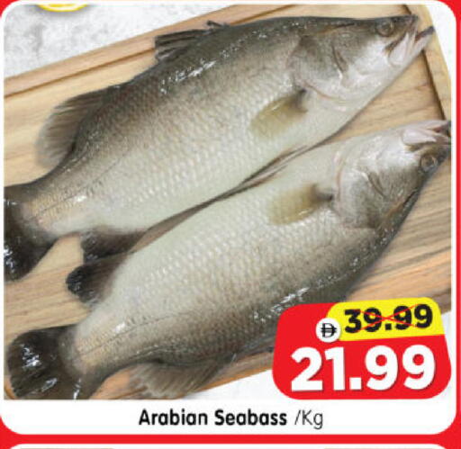 available at هايبر ماركت المدينة in الإمارات العربية المتحدة , الامارات - أبو ظبي