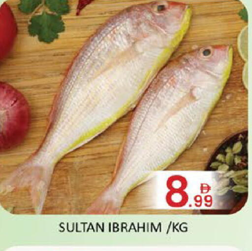 Mango available at مانجو هايبرماركت in الإمارات العربية المتحدة , الامارات - دبي