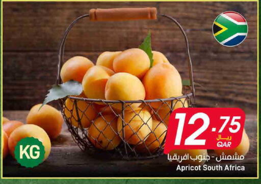 Apricot available at ســبــار in قطر - أم صلال