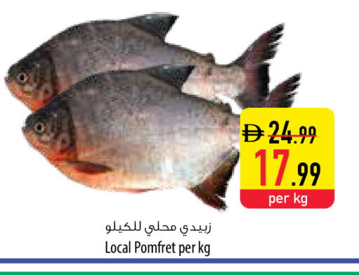 available at Safeer Market in UAE - Umm al Quwain