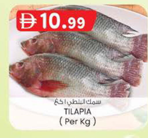 available at K M Trading  in UAE - Sharjah / Ajman