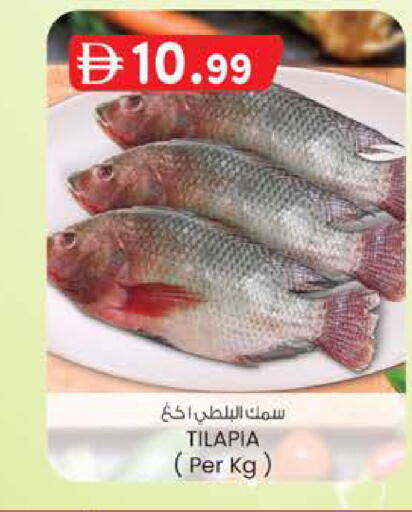 available at صفا اكسبريس سوبرماركت in الإمارات العربية المتحدة , الامارات - أبو ظبي