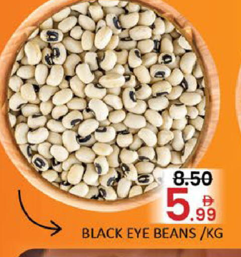 Mango available at مانجو هايبرماركت in الإمارات العربية المتحدة , الامارات - دبي