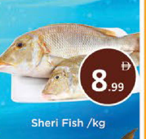 available at AIKO Mall and AIKO Hypermarket in UAE - Al Ain