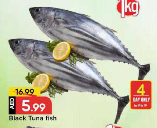 available at مارك & سيف in الإمارات العربية المتحدة , الامارات - الشارقة / عجمان