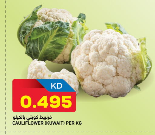 Cauliflower from Kuwait available at Oncost in Kuwait - Jahra Governorate