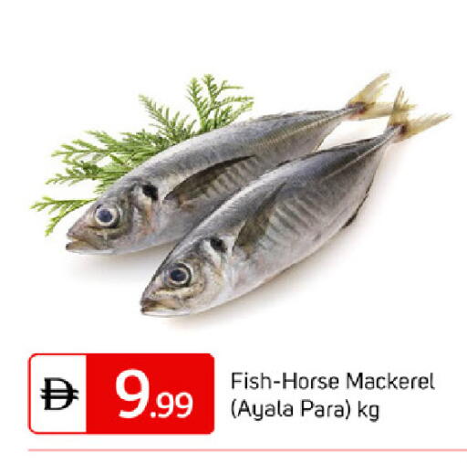 available at سوق طلال in الإمارات العربية المتحدة , الامارات - دبي