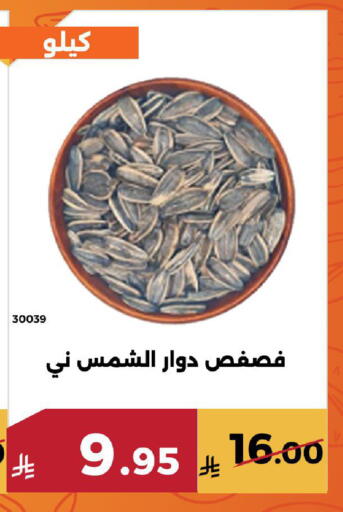 available at Forat Garden in KSA, Saudi Arabia, Saudi - Mecca