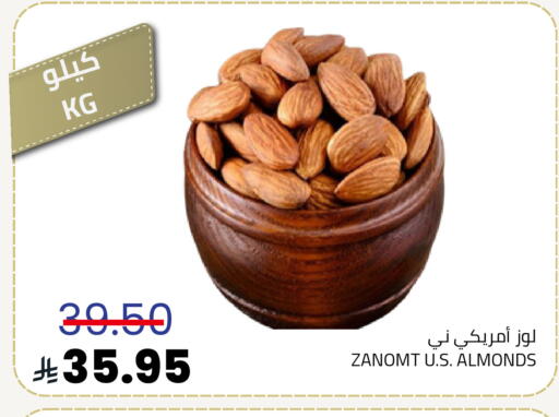 available at أسواق أسترا in مملكة العربية السعودية, السعودية, سعودية - تبوك