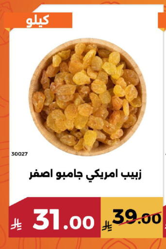 available at Forat Garden in KSA, Saudi Arabia, Saudi - Mecca