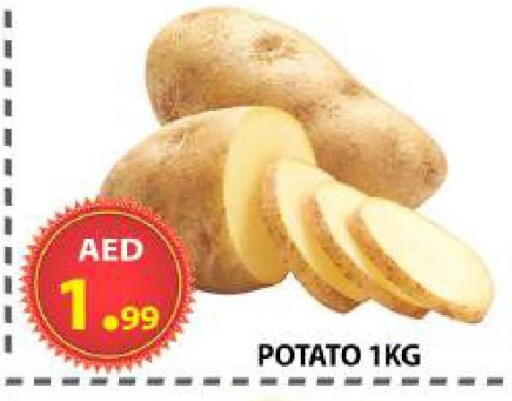 Potato available at AL WAHDA DISCOUNTS CENTRE in UAE - Sharjah / Ajman