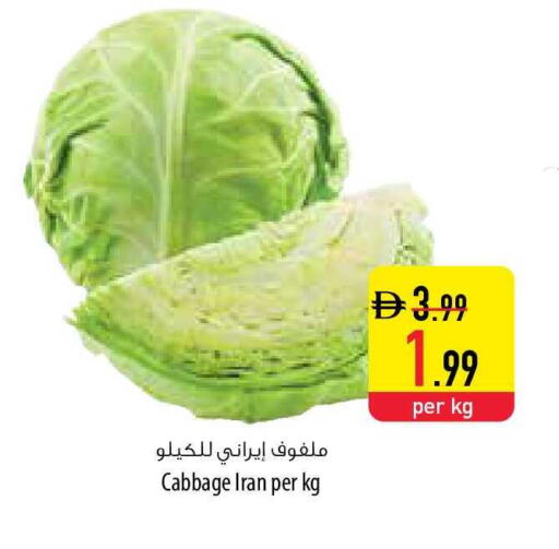 Cabbage from Iran available at Safeer Market in UAE - Ras al Khaimah