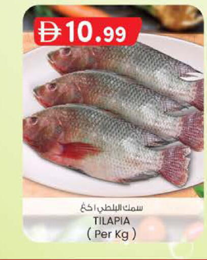 available at الصفا in الإمارات العربية المتحدة , الامارات - أبو ظبي