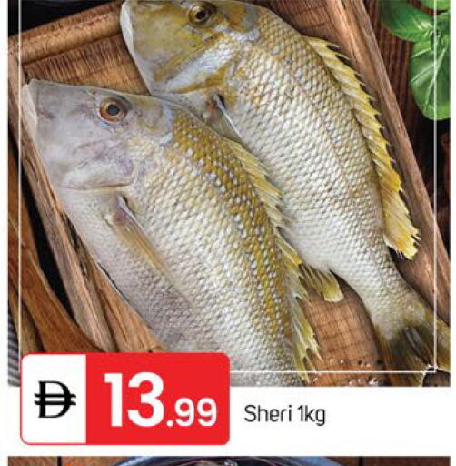 available at TALAL MARKET in UAE - Sharjah / Ajman