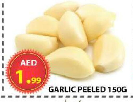 Garlic available at AL WAHDA DISCOUNTS CENTRE in UAE - Sharjah / Ajman
