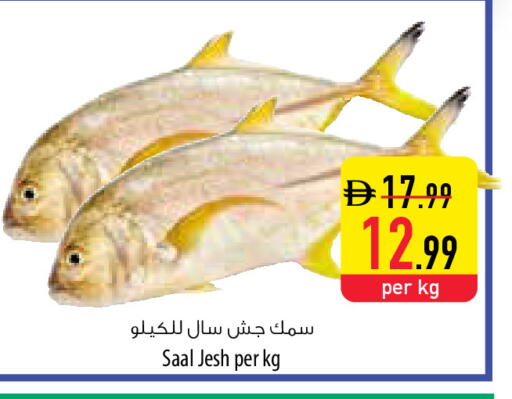 available at السفير ماركت in الإمارات العربية المتحدة , الامارات - ٱلْعَيْن‎