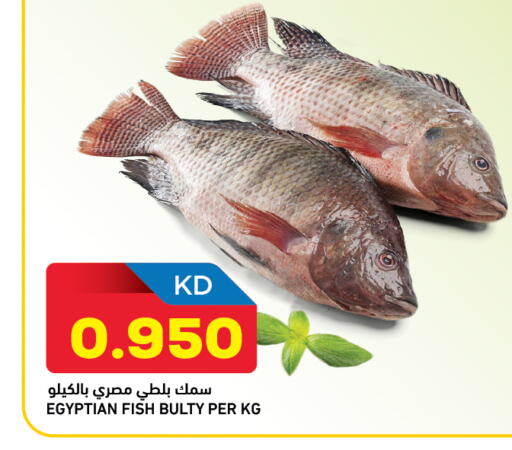 available at أونكوست in الكويت - محافظة الأحمدي