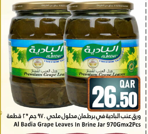 available at Dana Hypermarket in Qatar - Al Daayen