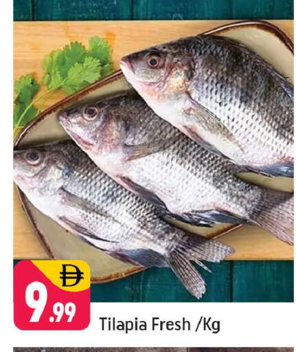 available at Shaklan  in UAE - Dubai